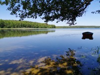 Jezioro Lubochnia 1.jpg