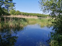Jezioro Lubochnia 2.jpg
